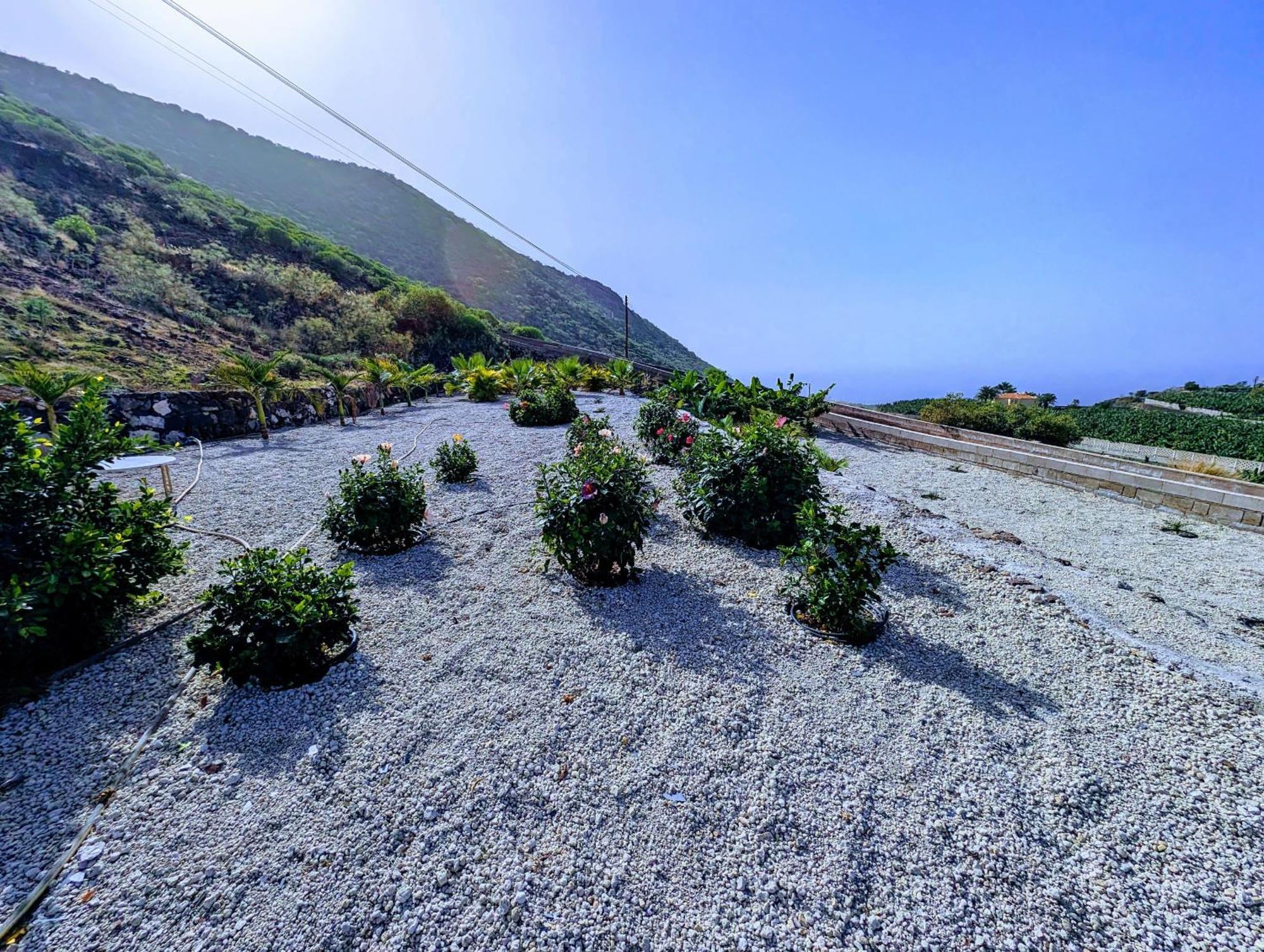 Sea La Vie Apartment - Adults Only Santiago Del Teide Ngoại thất bức ảnh